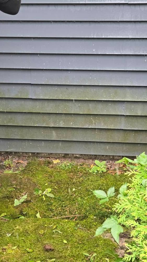Before: dirty siding