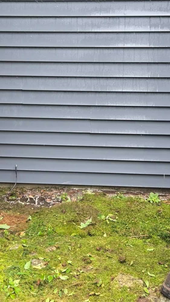 Clean vinyl siding